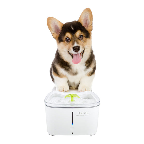Petmii Dogs Cat Drinking Fountain 2.6L Large Capacity Automatic Waterer Low Noise Pet Waterer