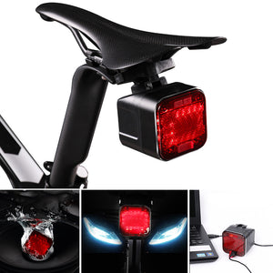WILD MAN Bike Sound Bluetooth Taillight USB Rechargeable Waterproof Play Music Stereo Volume Cont
