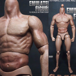 1/6 Scale Action Figure Male Nude Muscular Body 12 Plastic Toy for TTM18/19"