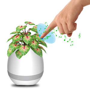 Honana FGP1 USB Bluetooth Music Flower Pot Electrostatic Induction Night Light Flower Pot