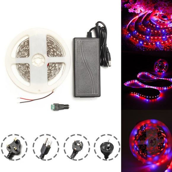 DC12V 5M Red:Blue 3:1 Waterproof 5050 Full Spectrum Grow LED Strip Lights kit for Plant