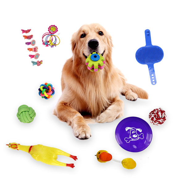 18pcs Dogs Grind Their Teeth And Bite Toys  Resistance to bite toys  Pet Toys