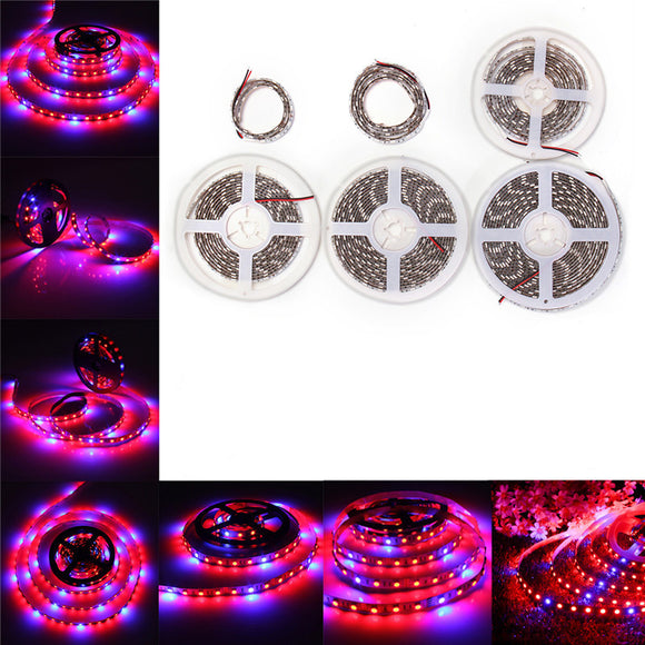 0.5M/1M/2M/3M/4M/5M SMD5050 Red:Blue 3:1 Full Spectrum LED Grow Strip Light Plant Lamp