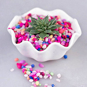 80g DIY Micro Landscape Colroful Stone Decoration Garden Succulent Plants Flower Pot Decor