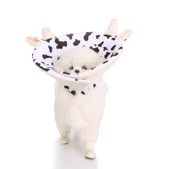 Pet Health Recovery Elizabethan Collar Protection Durable Comfortable Cat Pet Collar