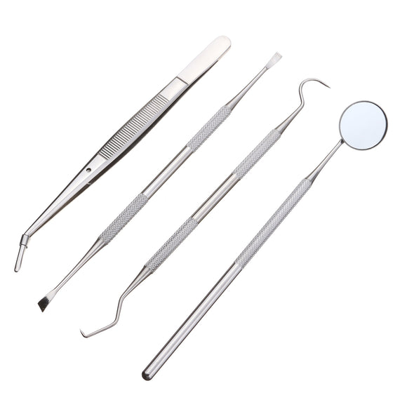 4 Pcs PVC Stainless Steel Oral Mirror Probe Dental Care Tools Tartar Remover