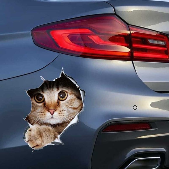 3D Breaking Through The Wall Kit ten Toilet Puppy Small Cartoon Car Stickers