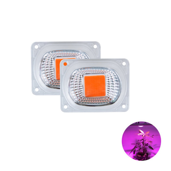 High Power 20W 30W 50W Full-spectrum COB LED Grow Light Chip with Lens for Floodlight AC110V/220V