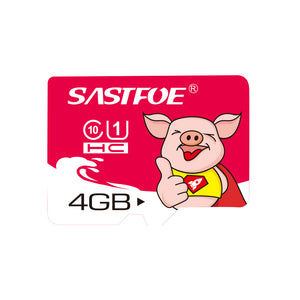SASTFOE Year of the Pig Limited Edition U1 4GB TF Memory Card
