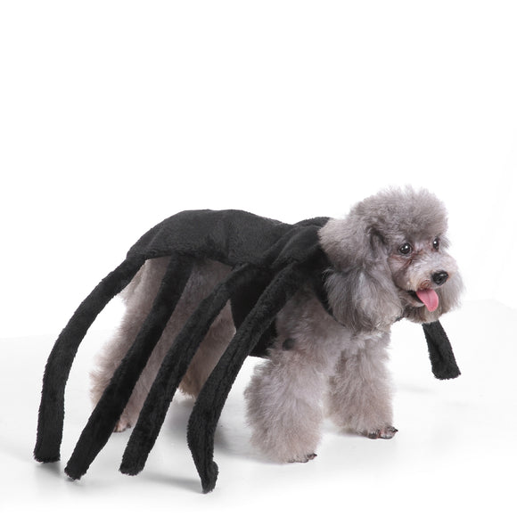 Pet Clothes Christmas Halloween Scared Black Widow Spider Harness Dog Costume