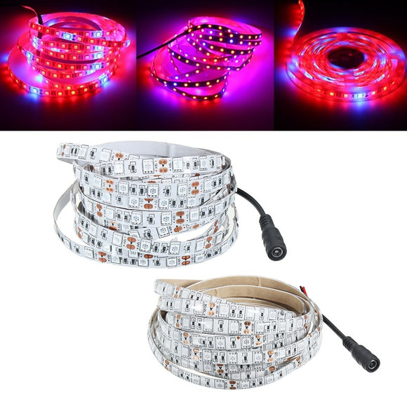 DC12V 4M SMD5050 Red:Blue 5:1 Full Spectrum LED Grow Strip Hydroponic Plant Light + Power Adapter
