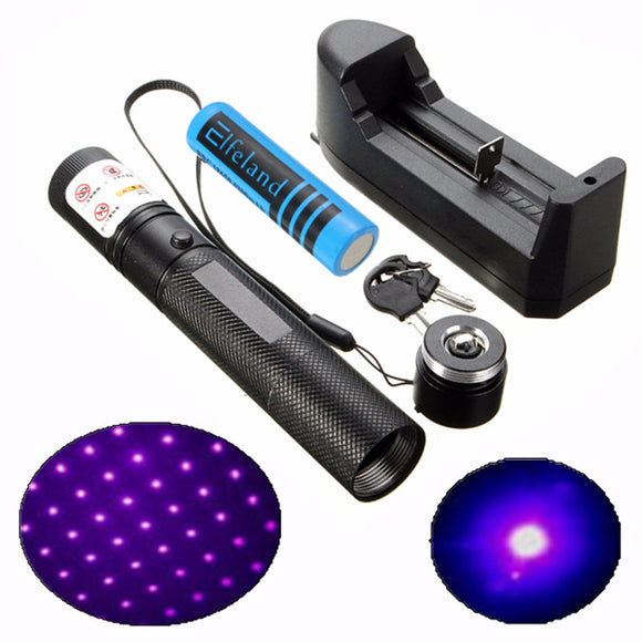 303 450nm 1mw Purple Light Laser Pointer Suit Set+ 18650 Battery + Charger