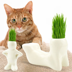 T-shaped Ceramic Art Creative Rye Cat Grass with Cat Grass Seed