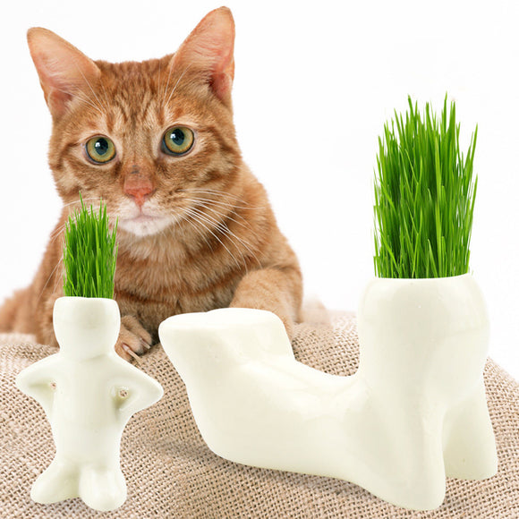 T-shaped Ceramic Art Creative Rye Cat Grass with Cat Grass Seed