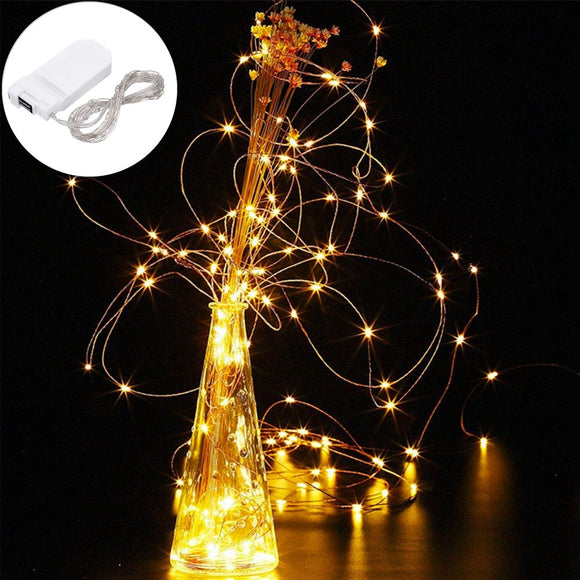LUSTREON DC3V Warm White Yellow 2M Silver Wire Auto Turn On LED String Light for Christmas Holiday Vase Decor
