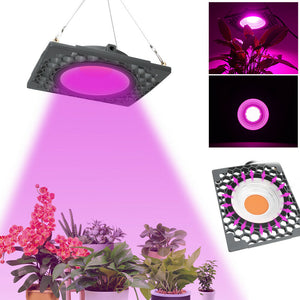 1000W Full Spectrum LED Grow Light Veg Seed Greenhouse Plant Lamp Super Cooling