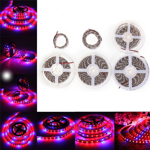 0.5M/1M/2M/3M/4M/5M 5050SMD Waterproof Red:Blue 3:1 Full Spectrum Grow LED Strip Light DC12V