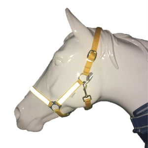 OutdoorPPFluorescerendeYellowHorseHalter Bridle Light Reflekterende Tape Hy Sikt Equestrian S