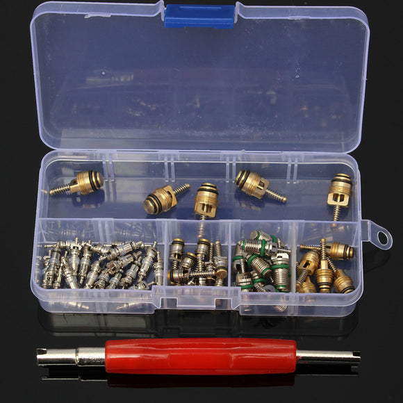 50Pcs A/C Automotive Car Maintenance Air Conditioning Valve Core + Remover Tools Kit